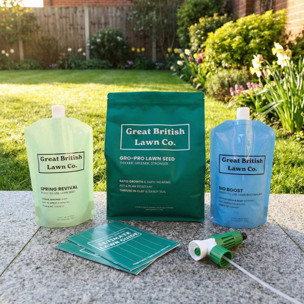 All-Season Lawn Plan