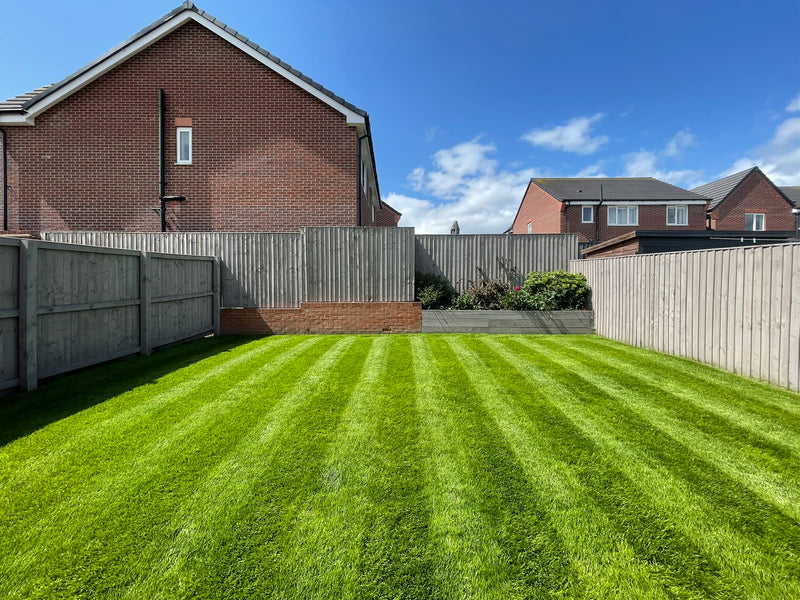 Lawn 9