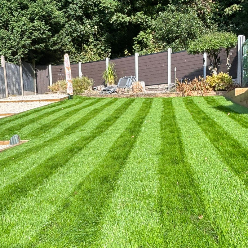 Lawn 1