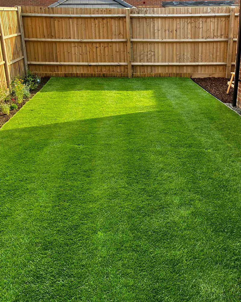 Lawn 6