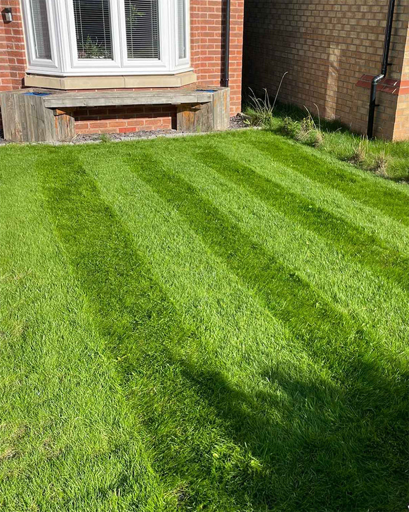 Lawn 5