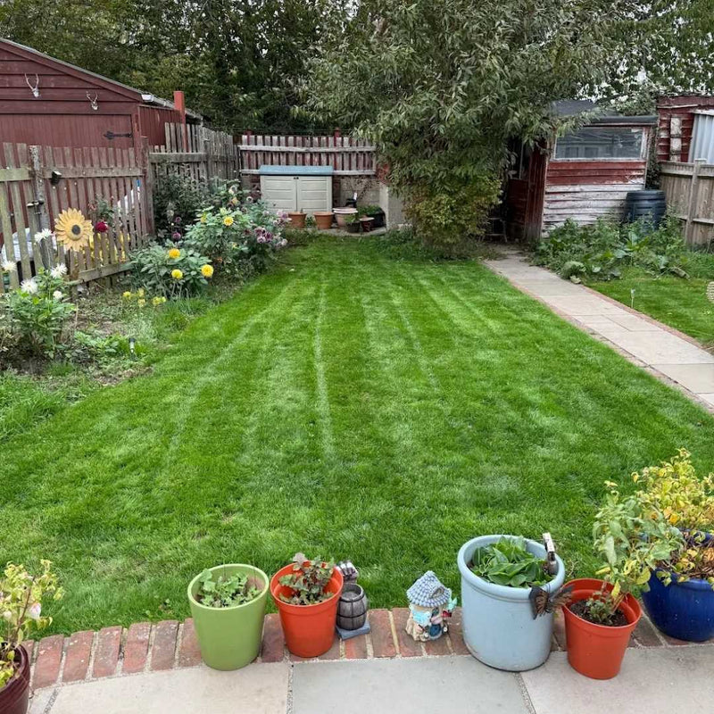 Lawn 2